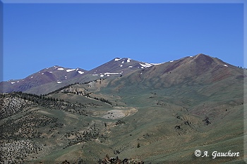 White Mountain Peak